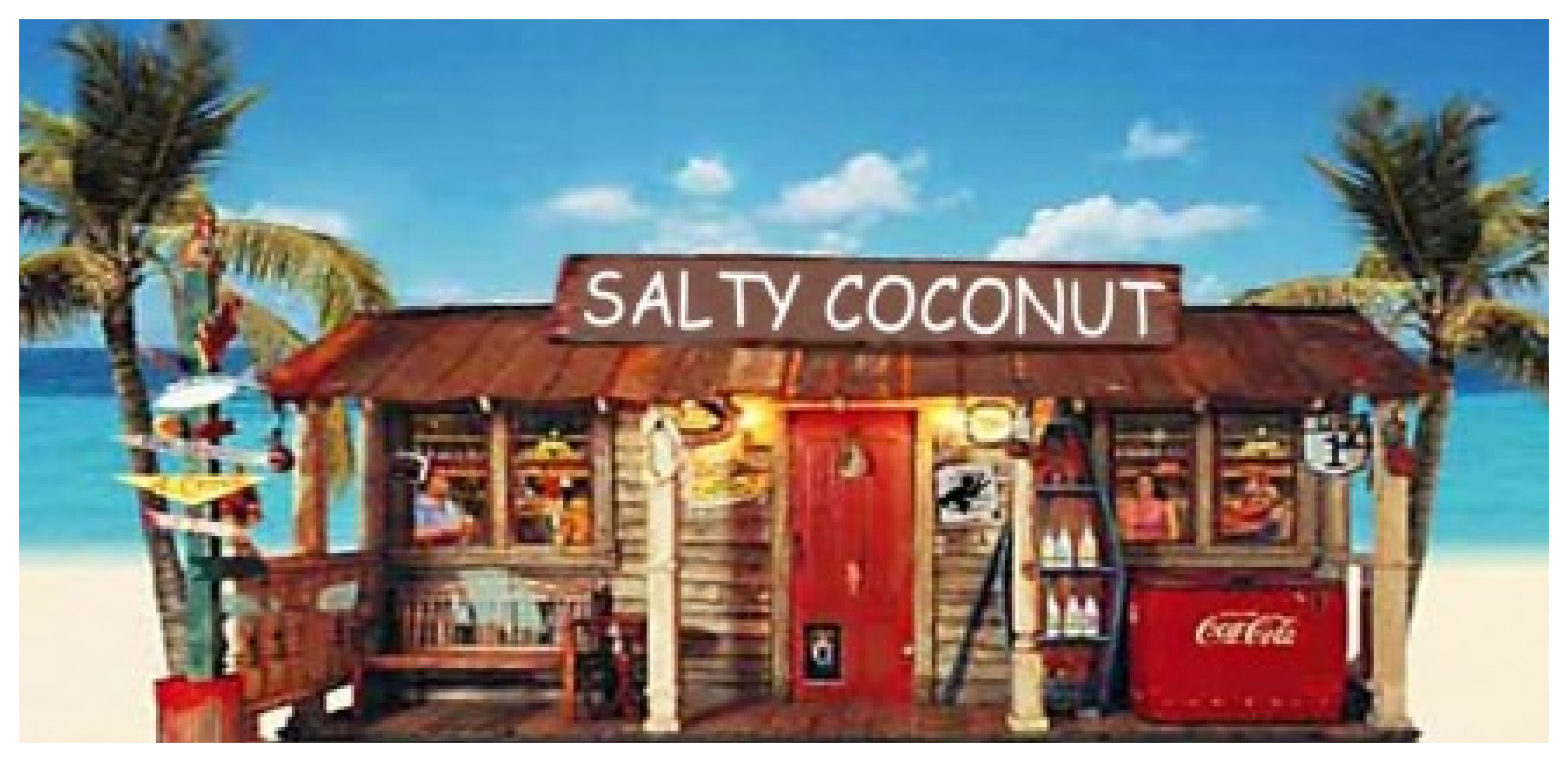 Salty Coconut Logo